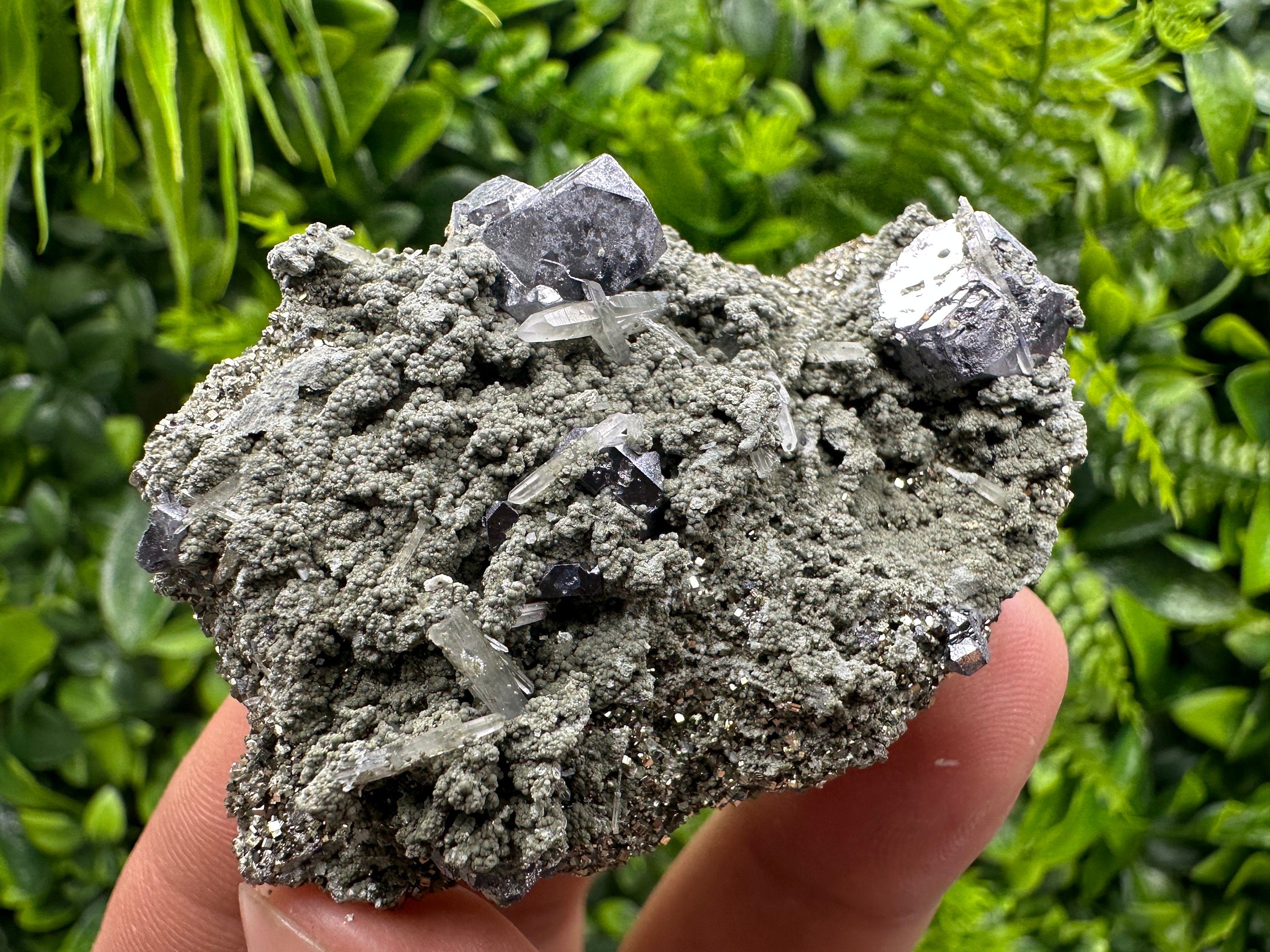 Galena Spinel Law Crystal on Quartz & Chlorite, Borieva Bulgaria