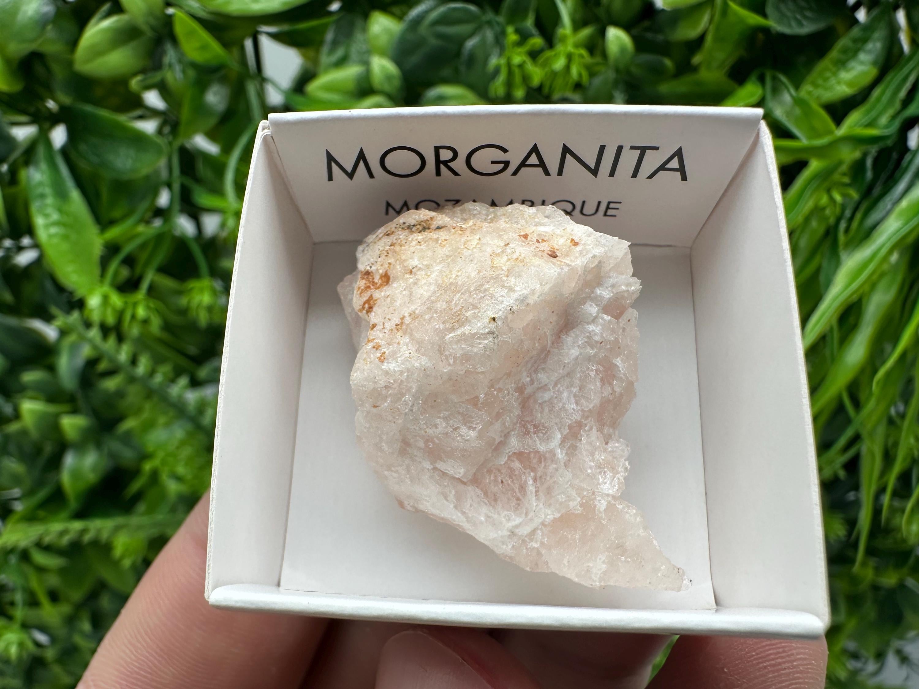 Rare Raw Morganite Specimen: Mozambique Crystal Collection (3/3.5cm)