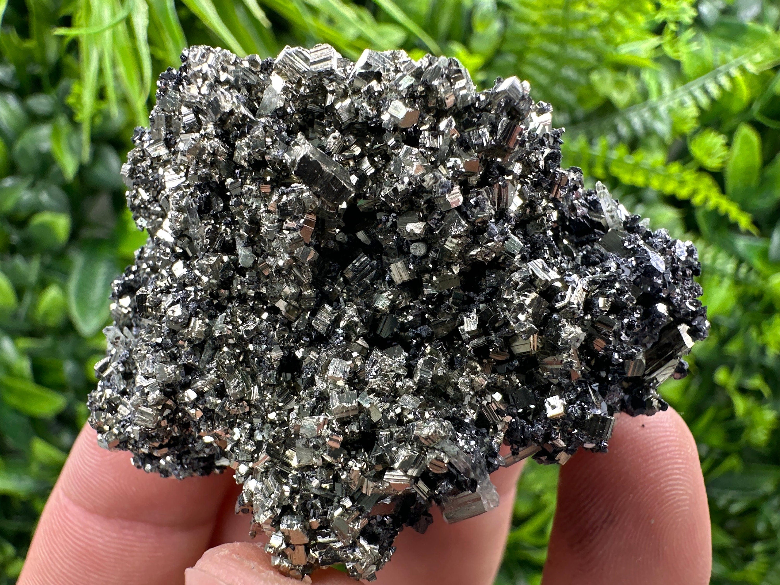 Pyrite on Quartz Needles, Borieva Mine Bulgaria, Mineral Specimen