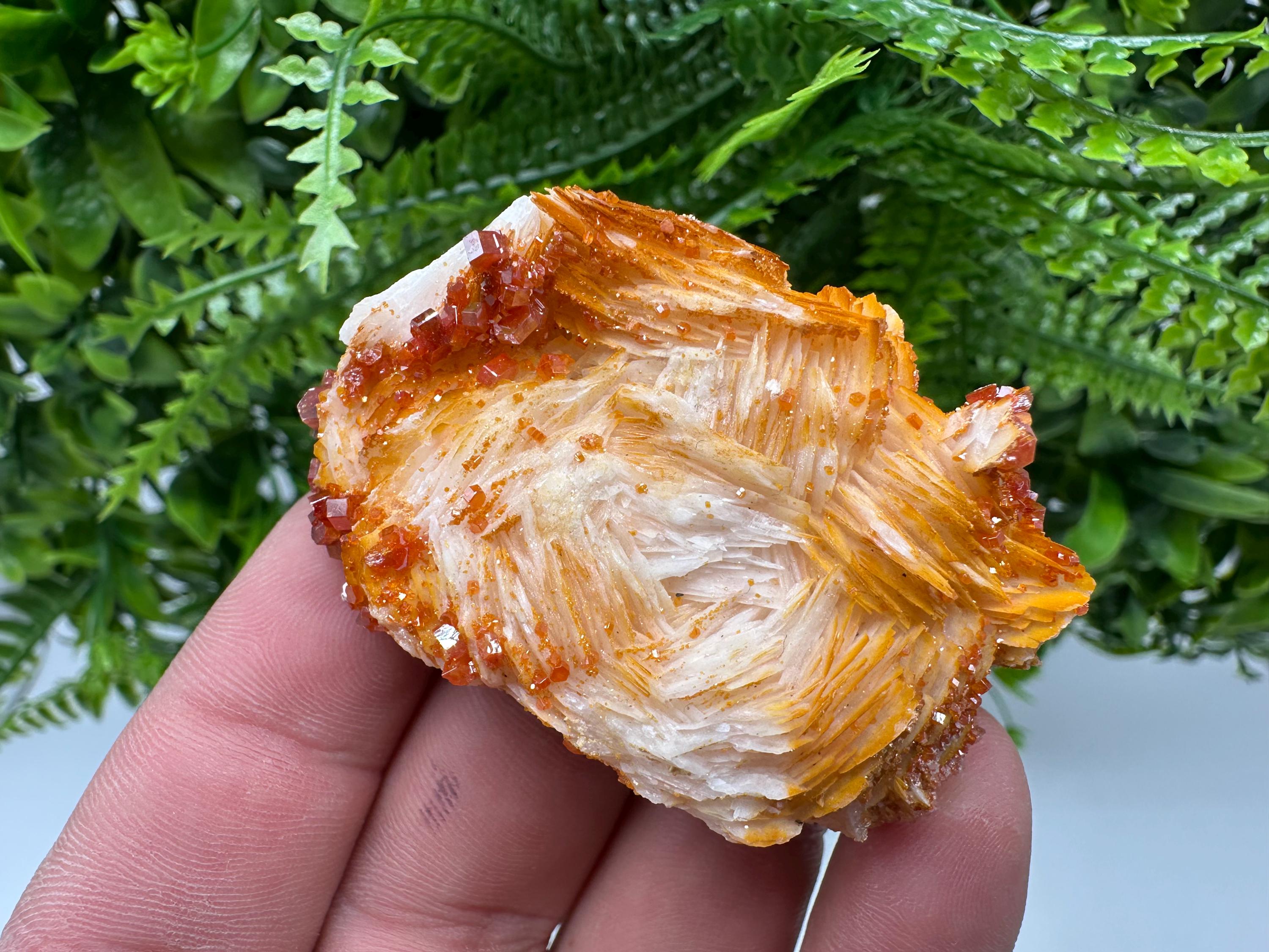 Red Vanadinite on Barite, Morocco Mineral Specimen