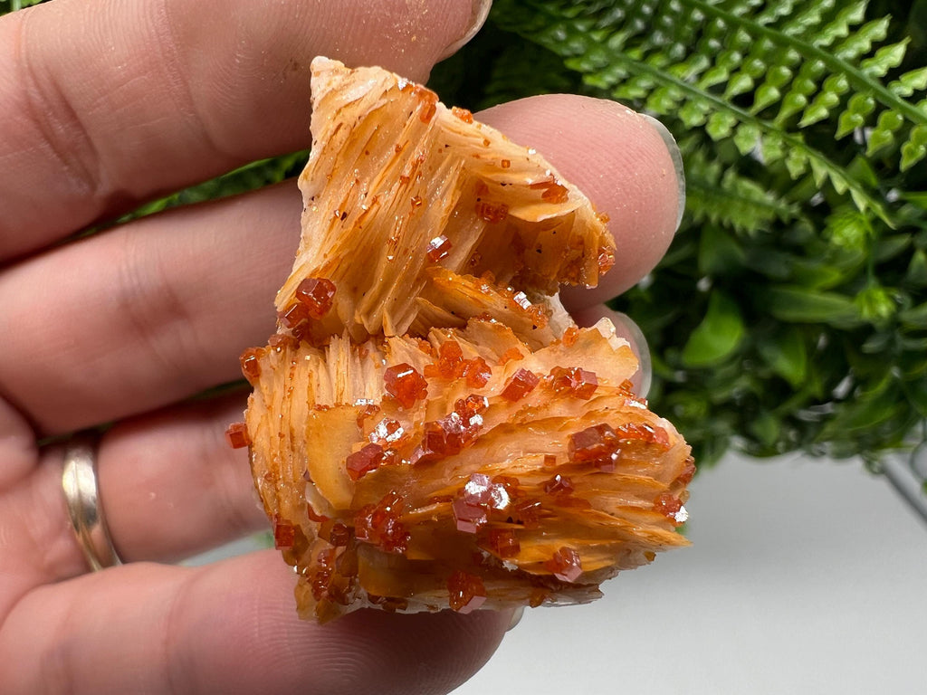 Red Vanadinite on Barite from Marocco,crystal minerals Speciment cluster Vanadinite crystal Vanadinite Geology Vanadinite cluster minerals
