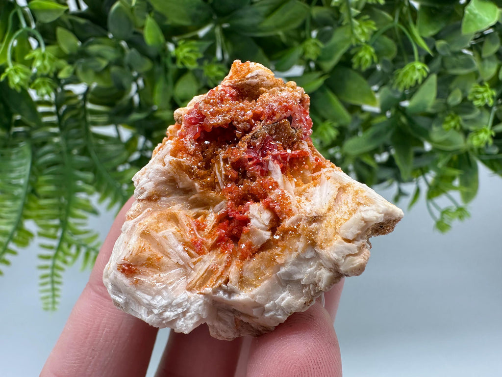 Red Vanadinite on Barite from Marocco,crystal minerals Speciment cluster Vanadinite crystal Vanadinite Geology Vanadinite cluster minerals