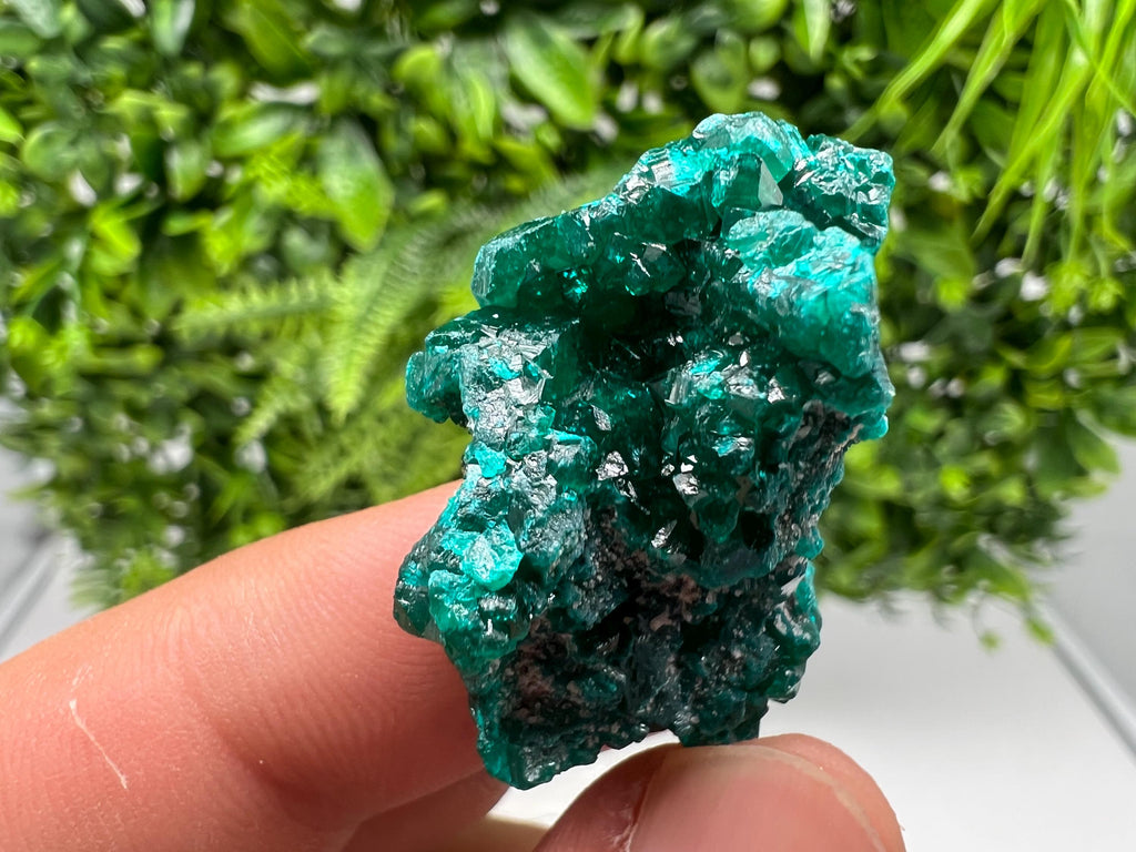 Stunning Green Dioptase from Sanda Hills,Mindouli,Pool Department,Mindouli District,Congo,green Dioptase,Dioptas Crystal,Dioptase collecting