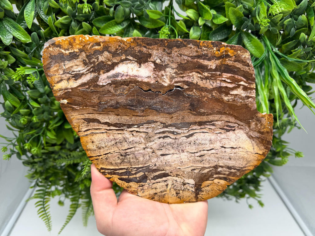 Polished Landscape Jasper Slab – Natural Scenic Stone Slice, Grounding Decor (22/17 CM)