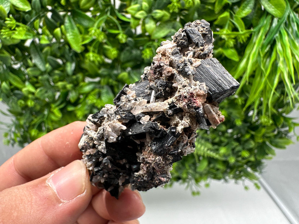 Rare Tourmaline,Rubellite from Vitosha Mountain,Bulgaria,Large Black Tourmaline,Rubellite,mineral specimen,collection,collections Tourmaline