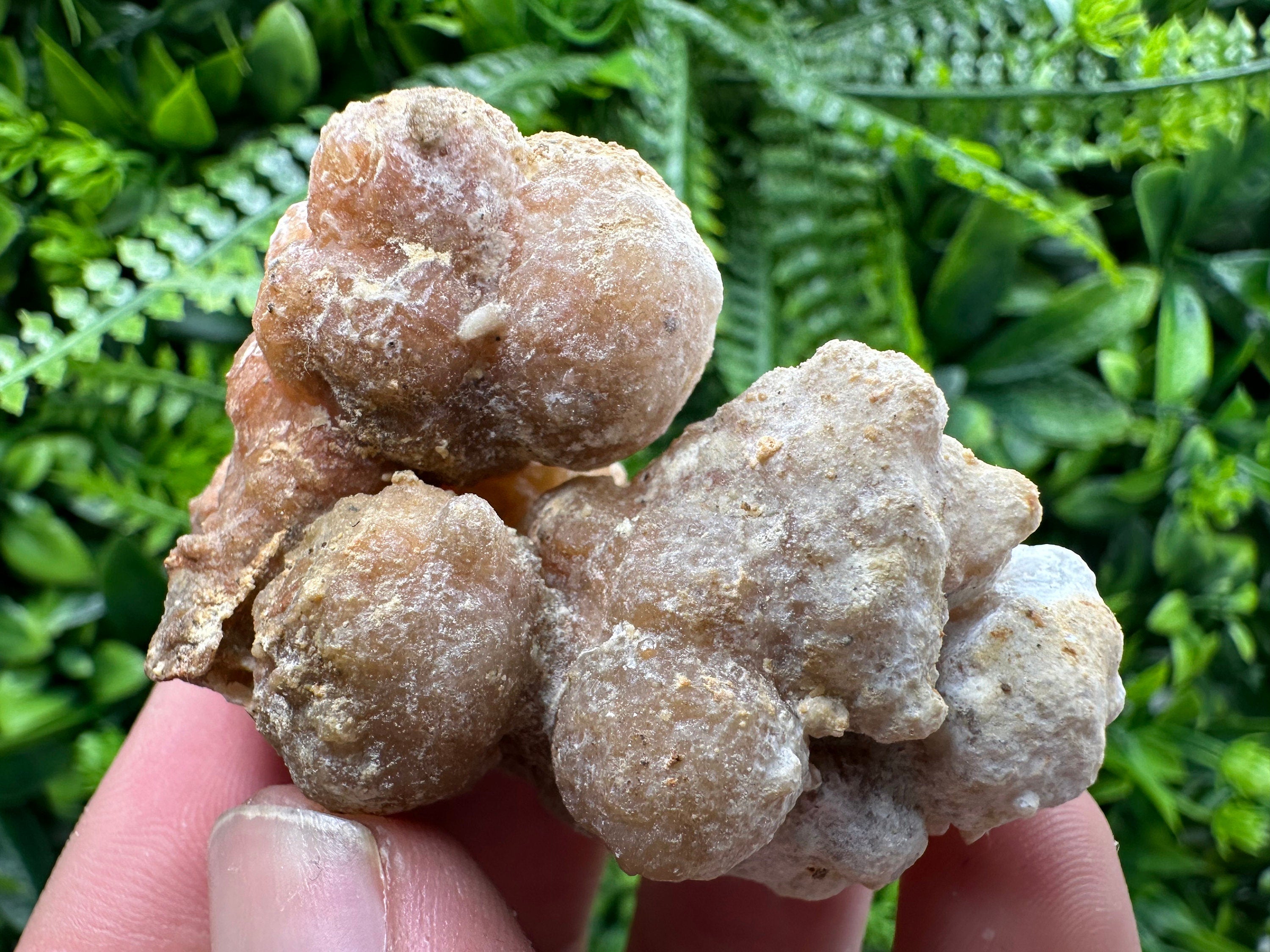 Aragonite Cluster, Dimitrovgrad Bulgaria, Mineral Specimen