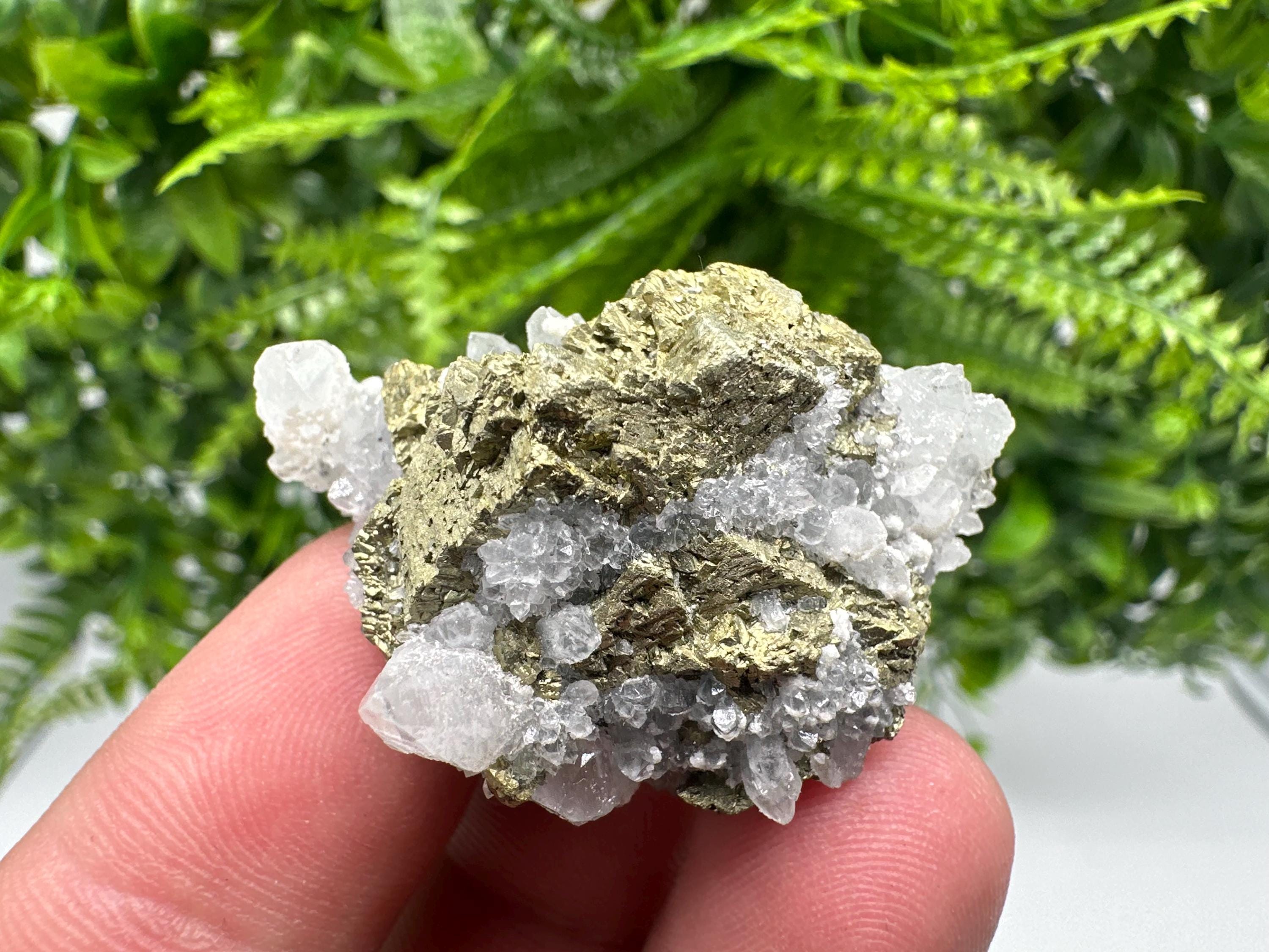 Chalcopyrite on Quartz Specimen, Krushev dol Mine, Bulgaria