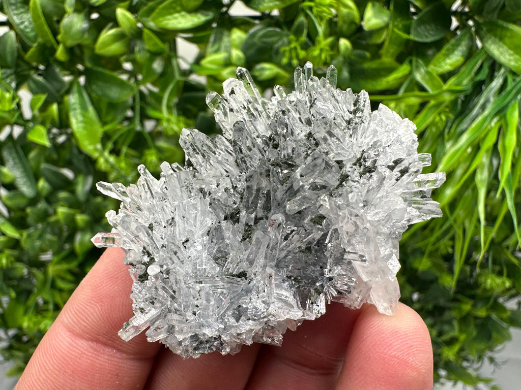 Chlorite Quartz Crystal Cluster - Borieva Mine, Bulgaria