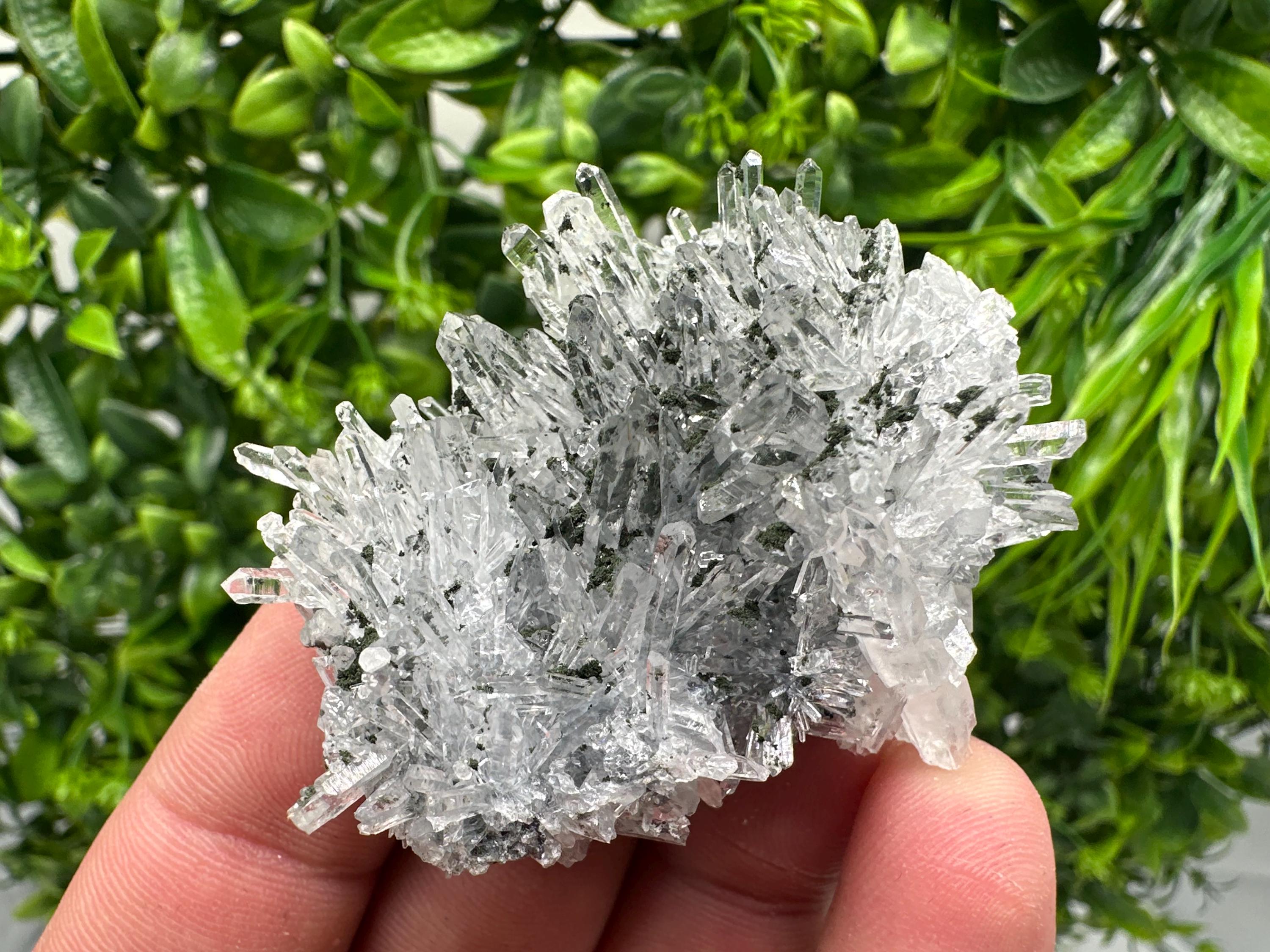 Chlorite Quartz Crystal Cluster - Borieva Mine, Bulgaria