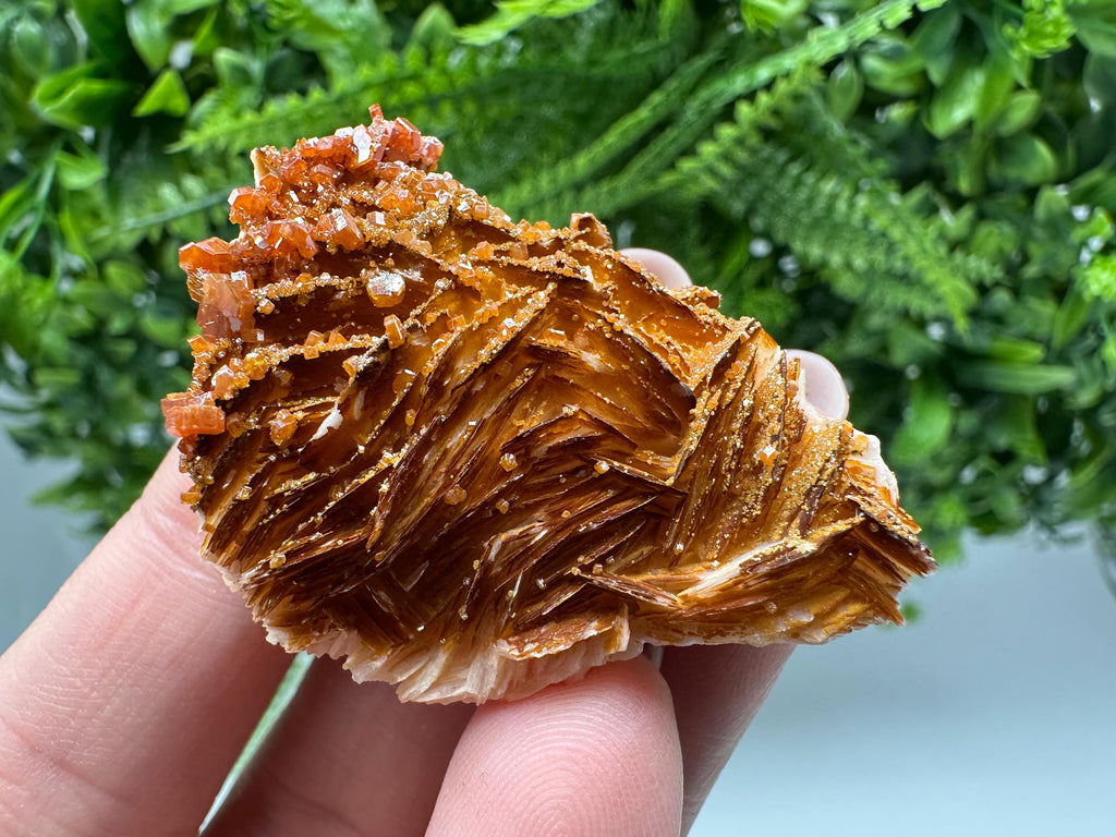 Red Vanadinite on Barite Cluster, Moroccan Crystal Mineral Specimen