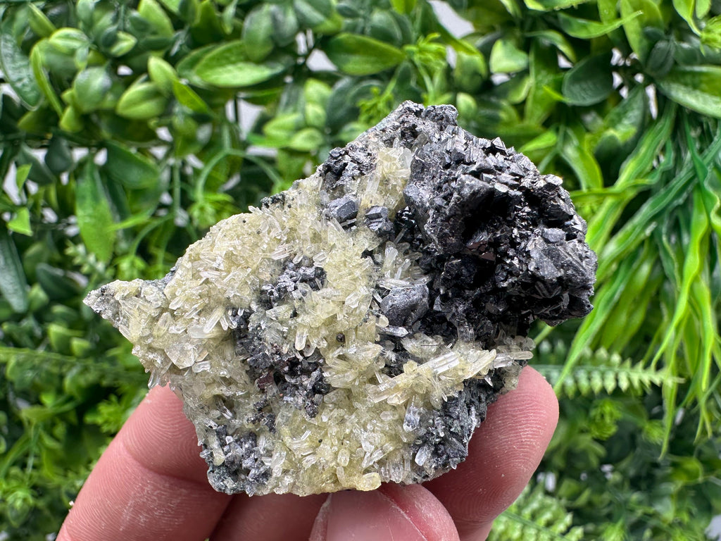 Sphalerite Galena on Quartz with Epidote, Bulgaria Mineral Specimen