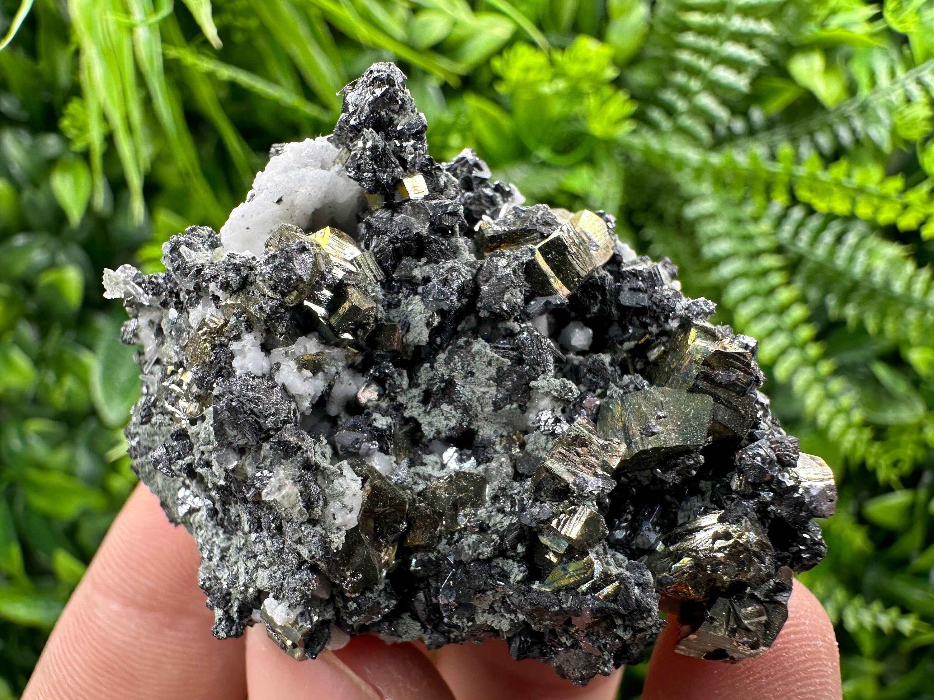 Rainbow Pyrite on Sphalerite and Quartz from Borieva Mine, Bulgaria