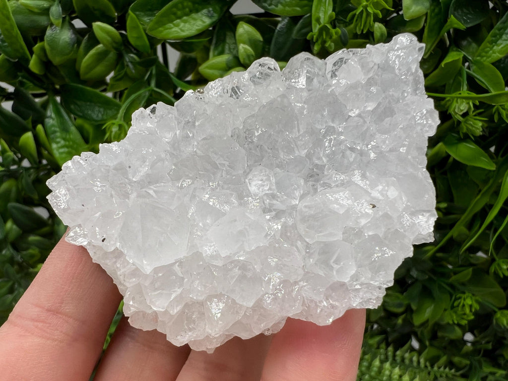 Transparent Quartz on Chlorite Matrix, Borieva Mine, Bulgaria