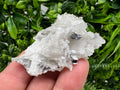 Galena on Chalcedony Specimen: Krushev Dol Mine, Bulgaria