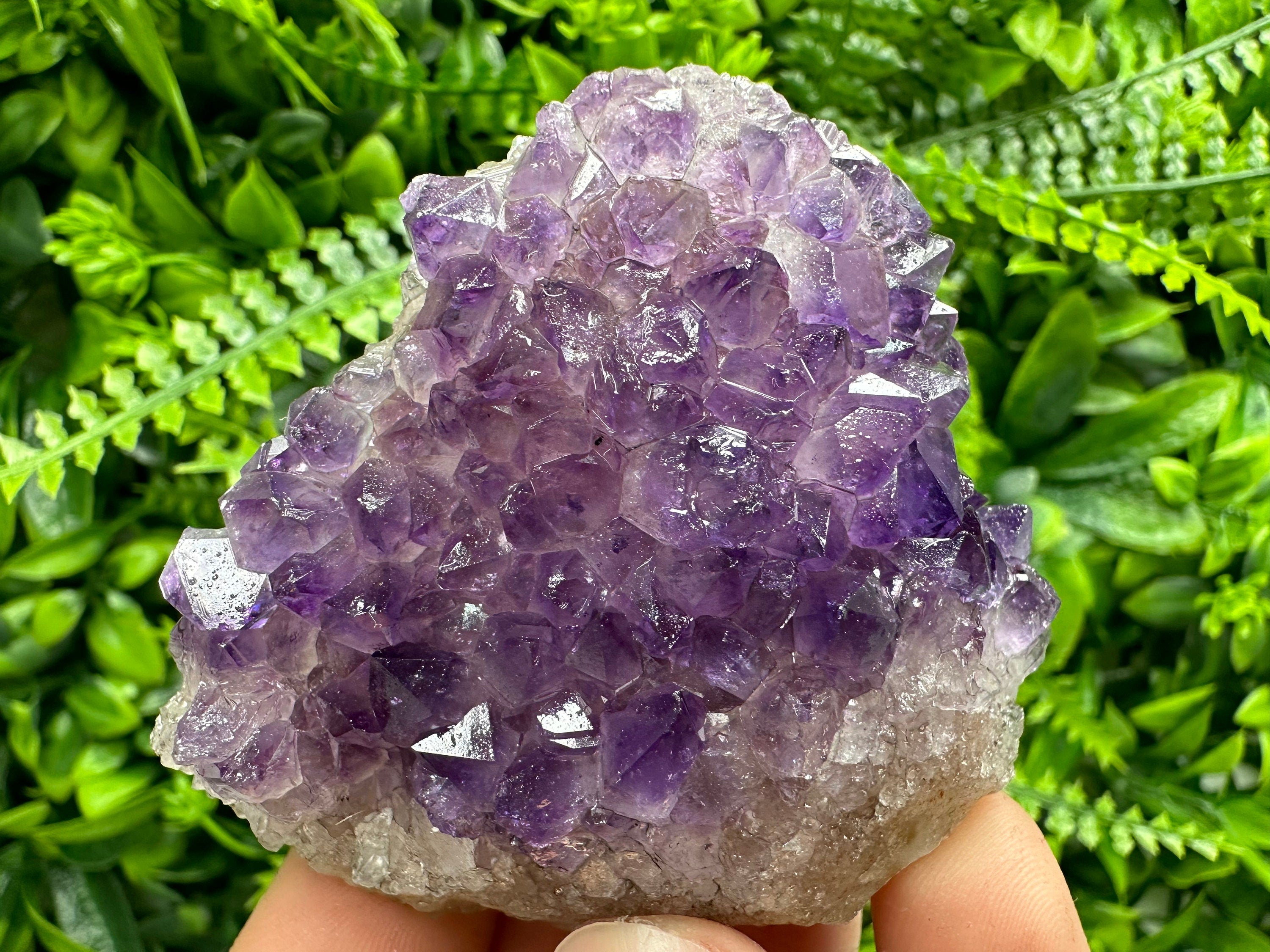 Uruguay Amethyst Cluster: Purple Quartz Crystal, Home Decor (6/7/4cm)