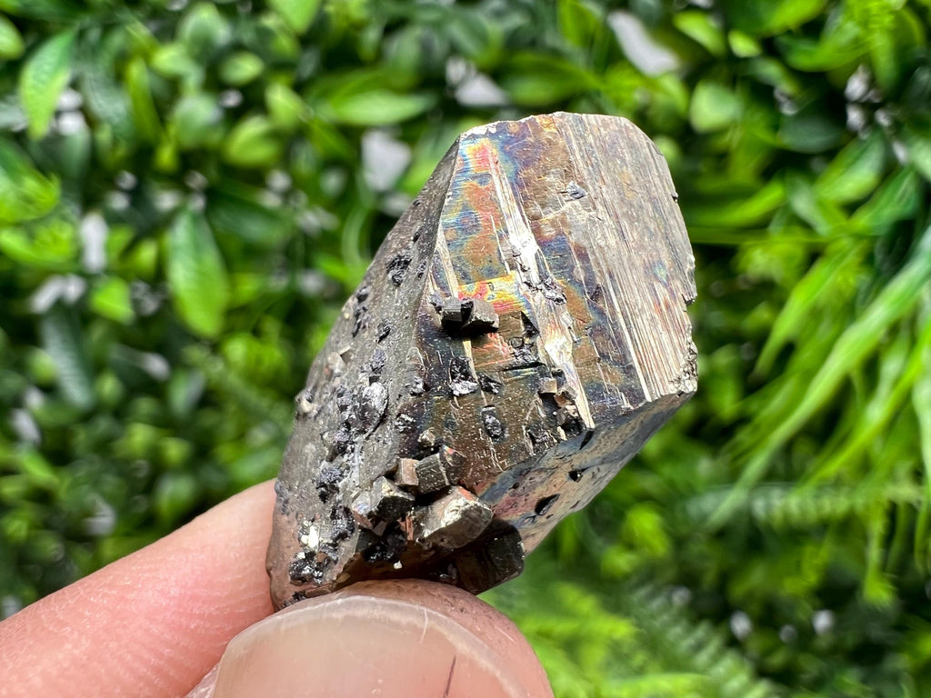 Mini Rare crystallisation Pyrite,Borieva mine,Bulgaria,floating Pyrite,golden Pyrite,Pyrite cluster,mini Collection specimen,Rainbow Pyrite