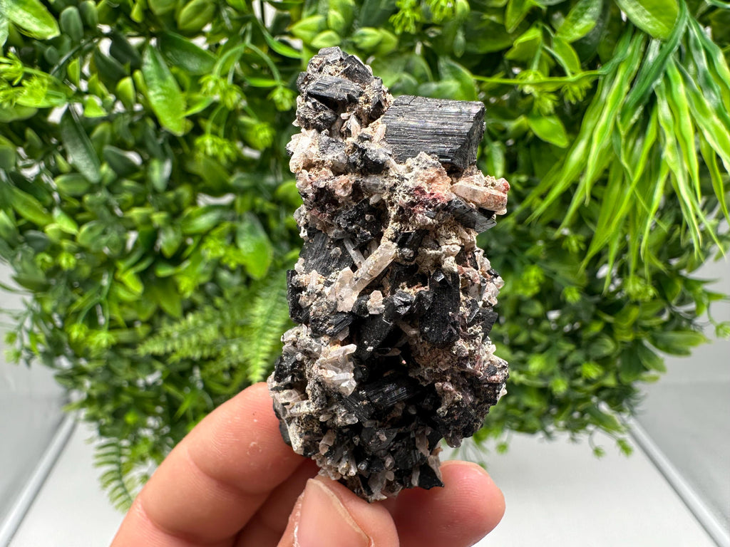 Rare Tourmaline,Rubellite from Vitosha Mountain,Bulgaria,Large Black Tourmaline,Rubellite,mineral specimen,collection,collections Tourmaline