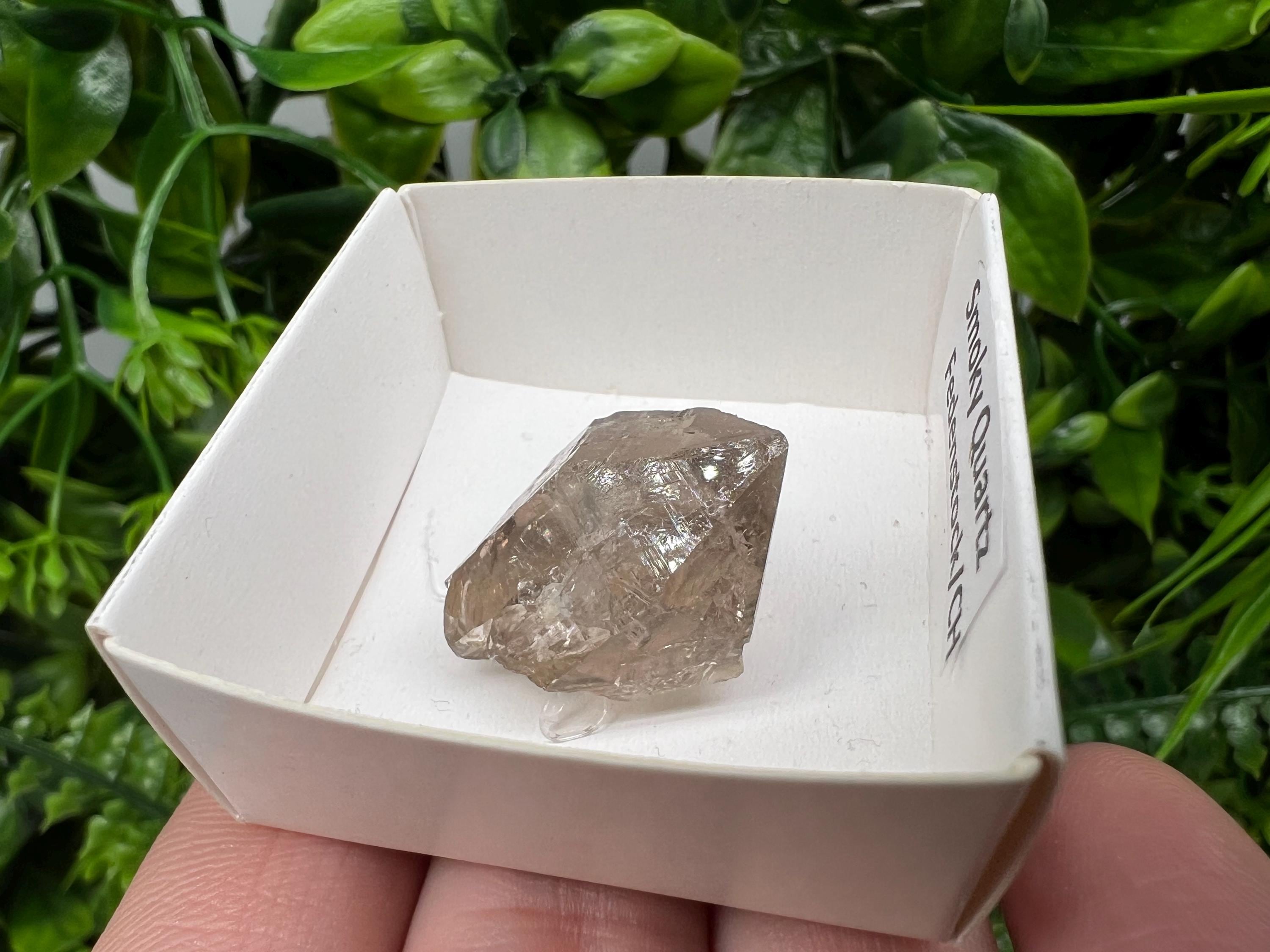 Rare Smoky Quartz Point, Fedenstock Switzerland Mineral Specimen (22/22 MM)