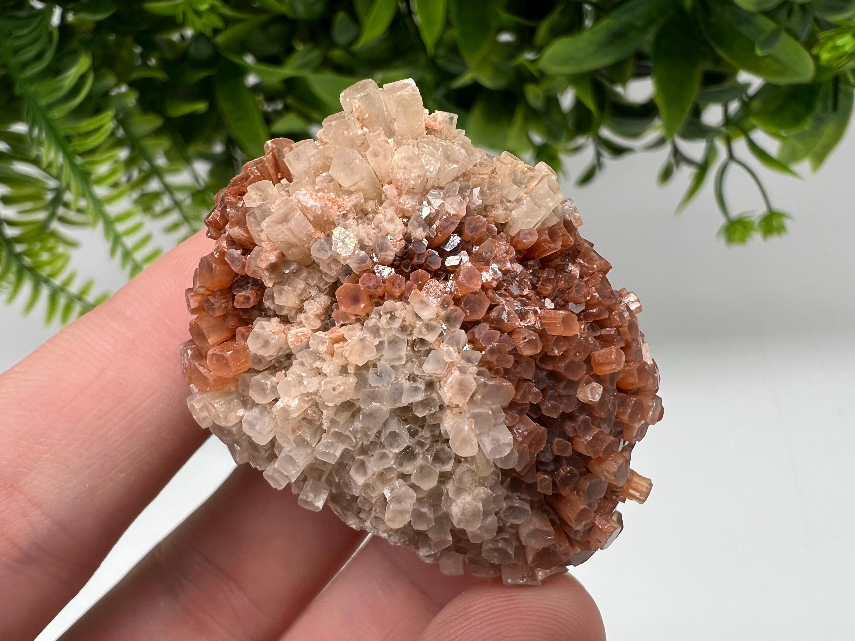 Extra Large Aragonite Sputnik Cluster: Moroccan Raw Crystal Stone