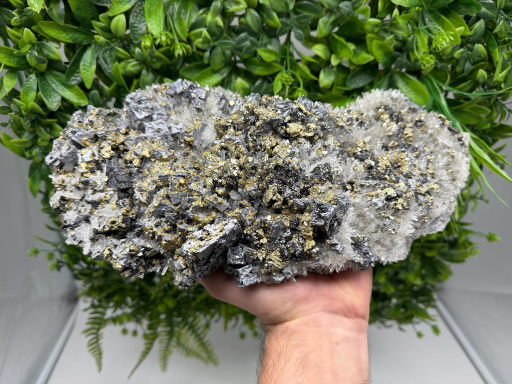 Museum Rare Shiny Galena Cluster whit Chalcopyrite,Pyrite, 9th of September Mine