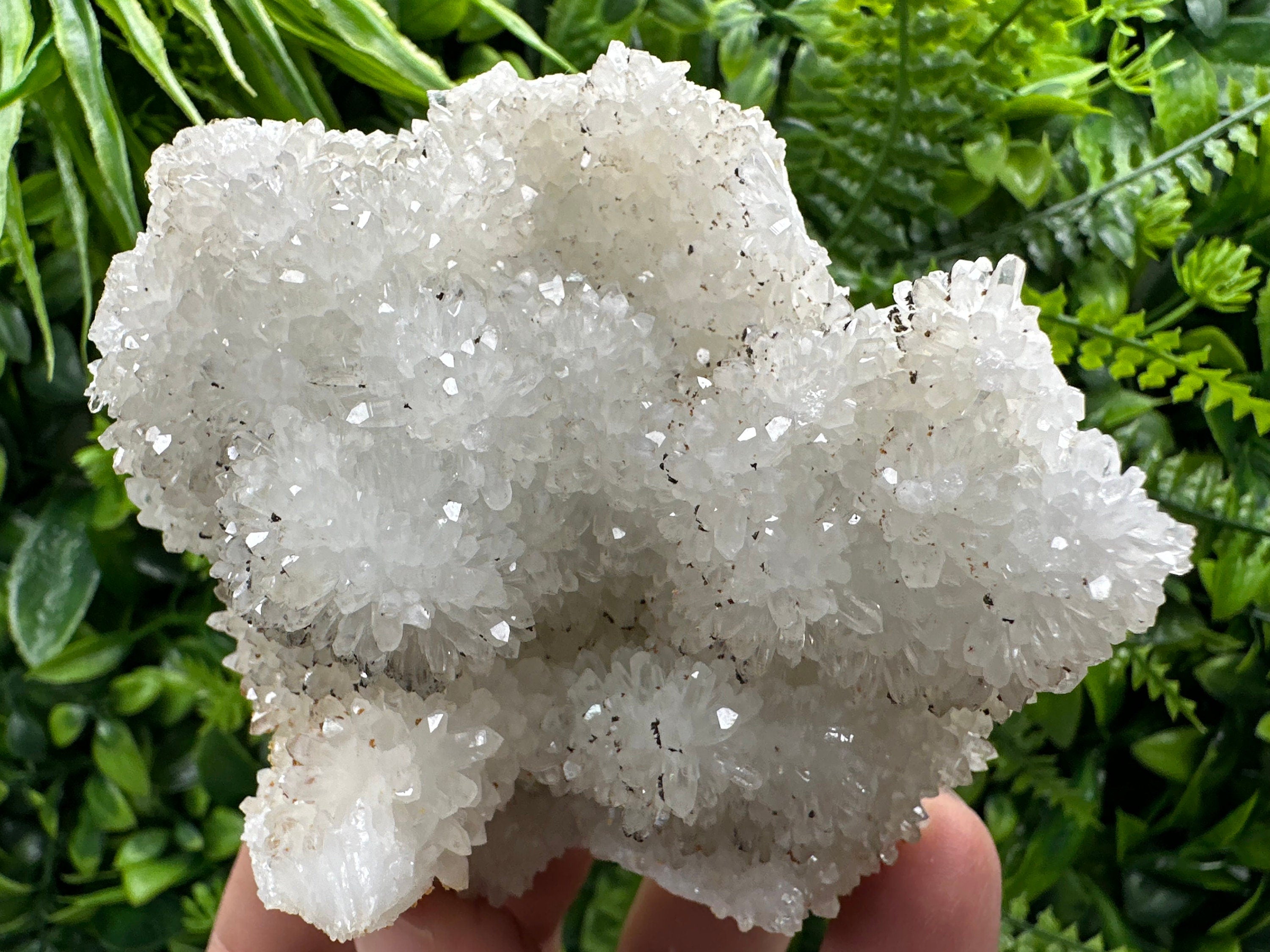 Transparent Quartz Cluster, Natural Minerals, Bulgaria