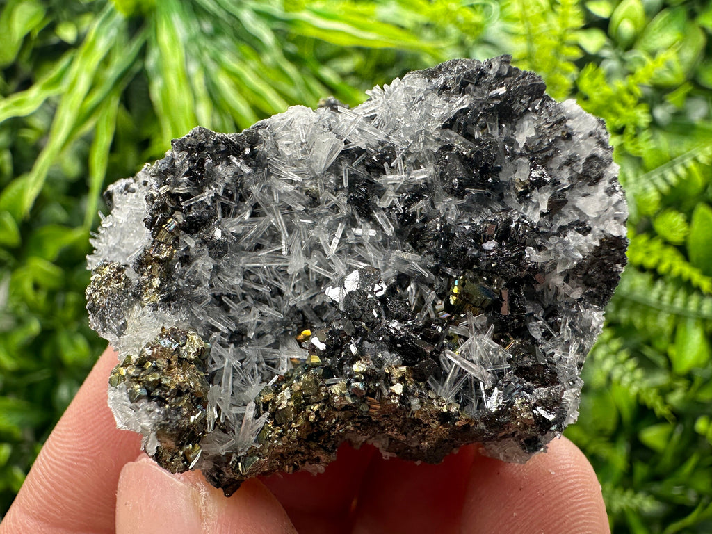 Rainbow Pyrite, Sphalerite on Quartz: Natural Crystal Souvenir