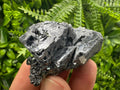 Galena with Black Sphalerite, Natural Minerals Souvenir from Borieva Bulgaria