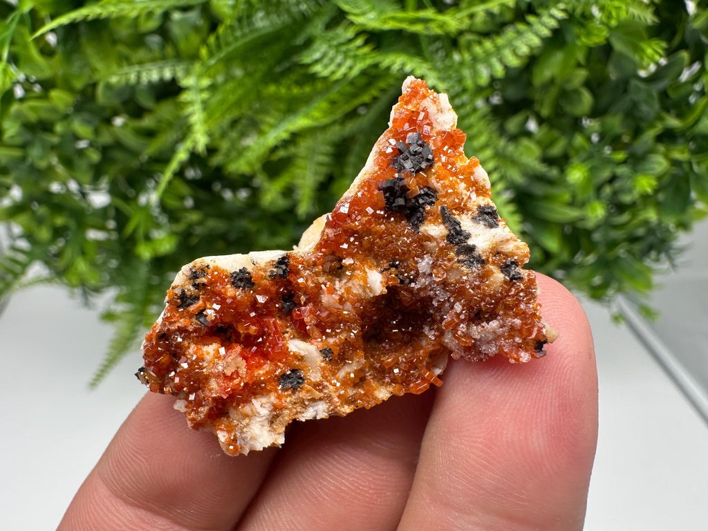 Red Vanadinite on Barite from Marocco,crystal minerals Speciment cluster Vanadinite crystal Vanadinite Geology Vanadinite cluster minerals