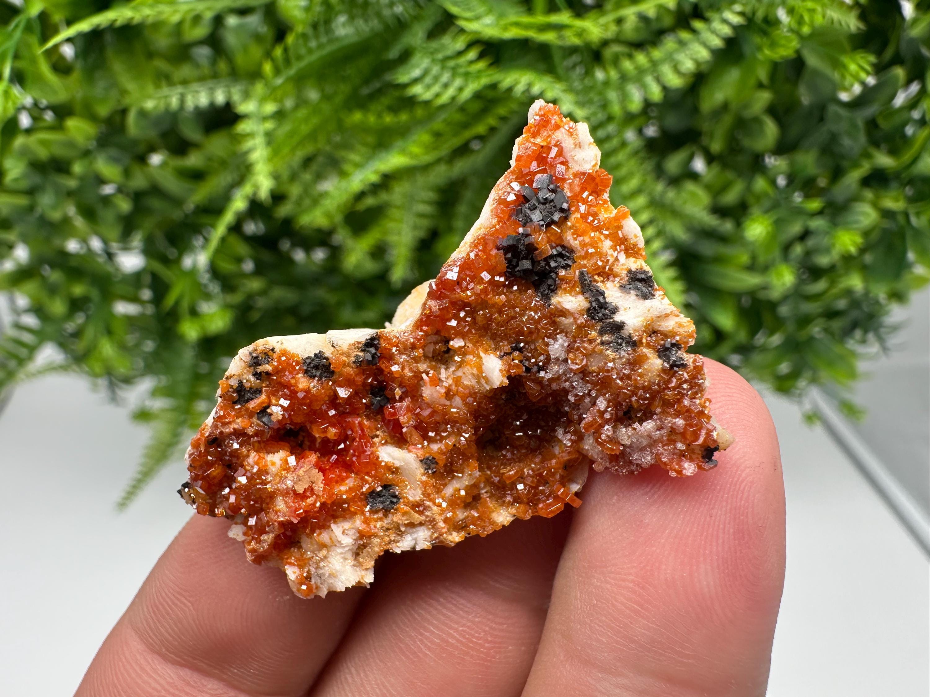 Red Vanadinite on Barite from Marocco,crystal minerals Speciment cluster Vanadinite crystal Vanadinite Geology Vanadinite cluster minerals