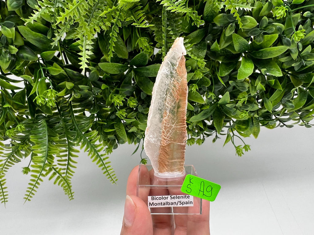 Golden Phantom Selenite Slab, Utah Raw Fishtail Selenite