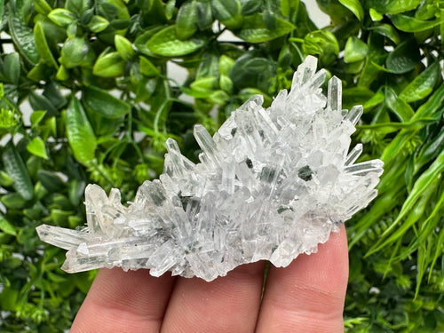 Chlorite Quartz Crystal Cluster - Borieva Mine, Bulgaria