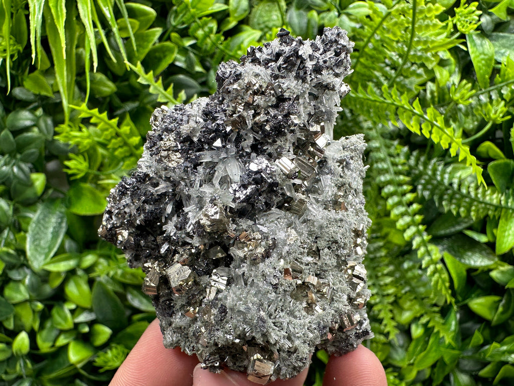 Pyrite on Quartz with Chlorite, Natural Crystal Decor, Borieva Bulgaria