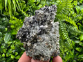 Pyrite on Quartz with Chlorite, Natural Crystal Decor, Borieva Bulgaria