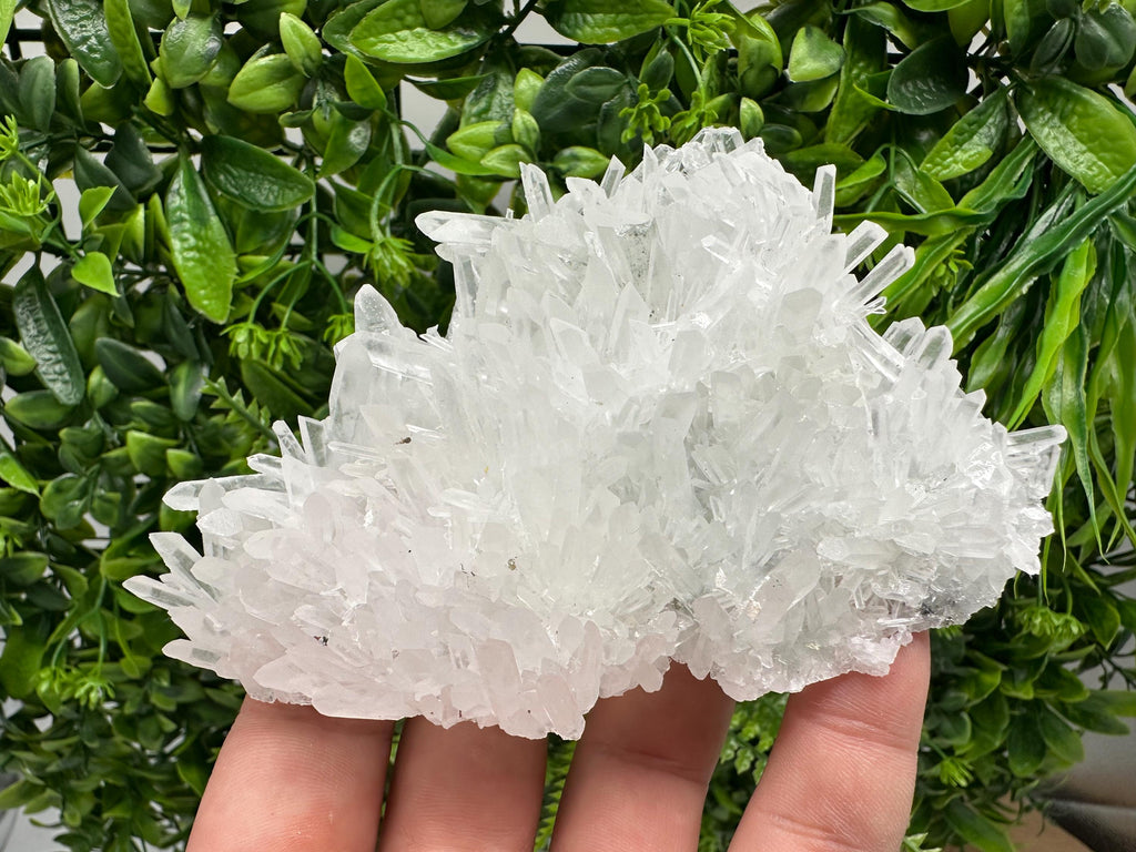 Stunning Transparent Quartz,from Borieva mine,natural collection mineral specimen rare crystal,home decor crystal,quartz cluster,Quartz,gift