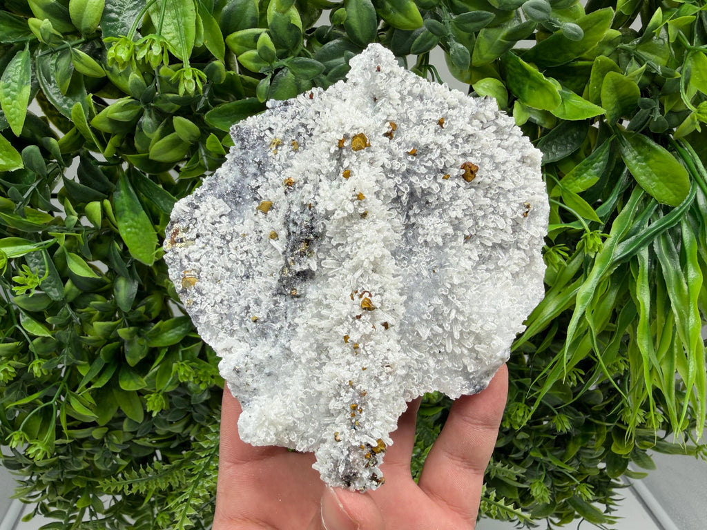 Pyrite Sphalerite Quartz  Mineral Specimen, Krushev dol Mine