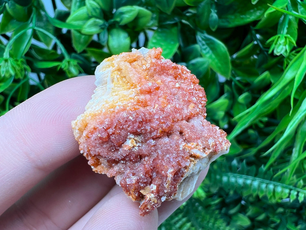 Red Vanadinite on Barite from Marocco,crystal minerals Speciment cluster Vanadinite crystal Vanadinite Geology Vanadinite cluster minerals