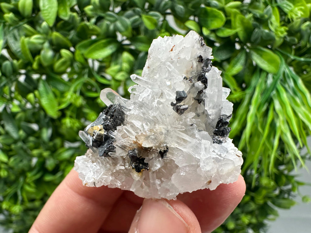 Wonderful Sphalerite Chalcopyrite on  Quartz whit Hematite feom 9 th September mine,Bulgaria,natural,collection mineral specimen,gift