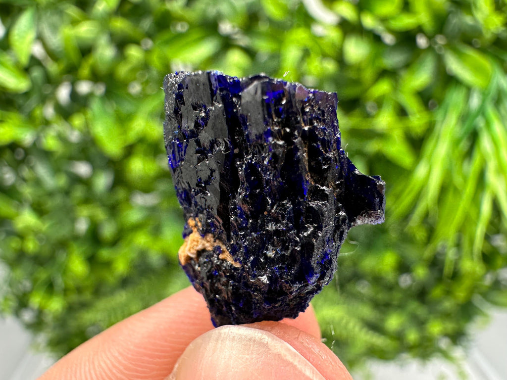 Crystallized Azurite-Kerrouchen,Morocco-Blue Azurite Specimen-High Quality Blue Azurite-Azurite Mineral Specimen, gemmy,lustrous of Azurite