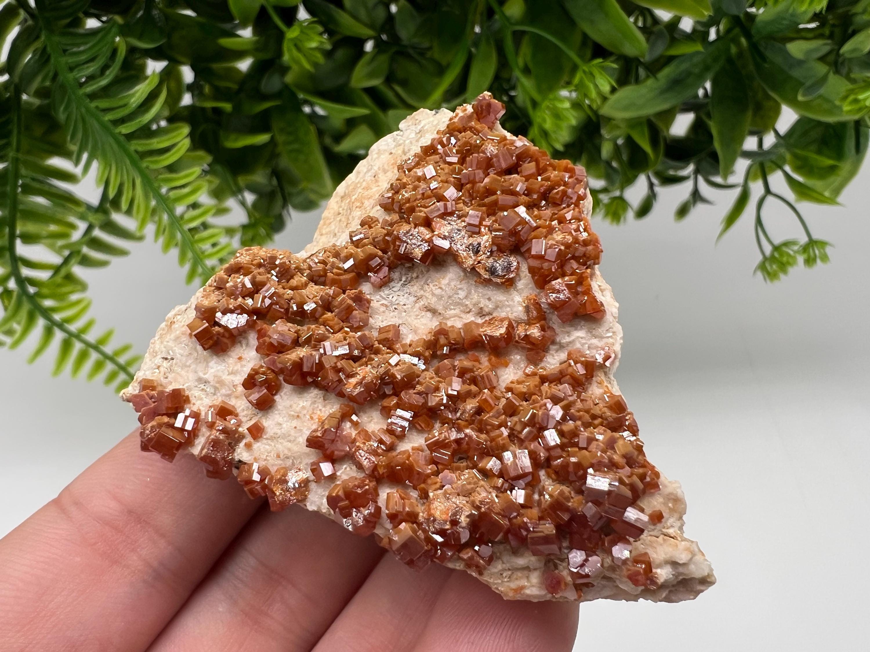 Red Vanadinite Crystal Cluster on Barite Matrix, Morocco