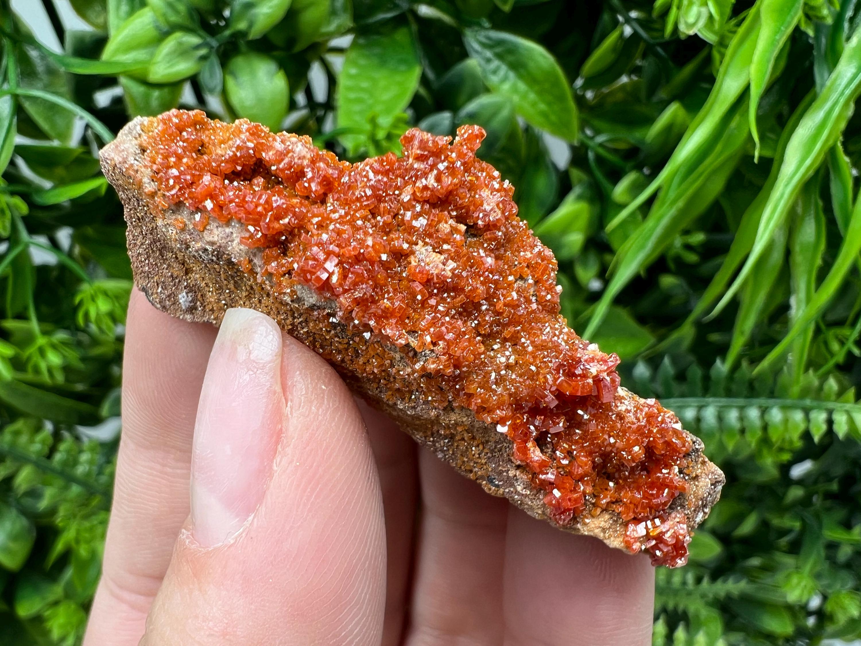 Red Vanadinite on Barite from Marocco,crystal minerals Speciment cluster Vanadinite crystal Vanadinite Geology Vanadinite cluster minerals