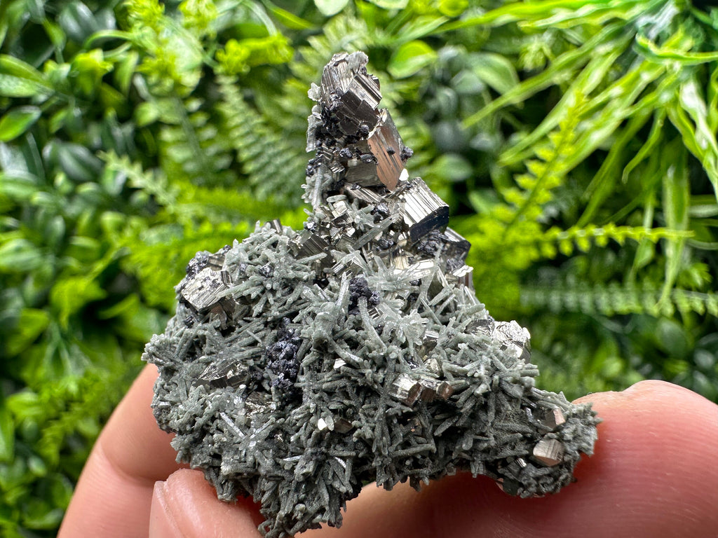 Crystallized Pyrite on Green Quartz: Borieva Mine, Bulgaria
