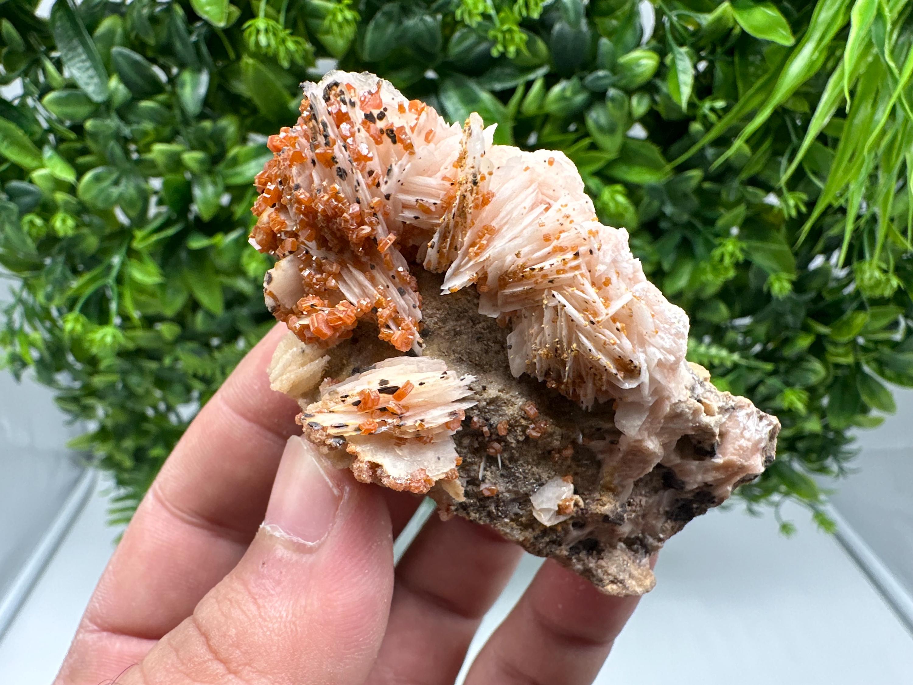 Red Vanadinite on Barite from Marocco,crystal minerals Speciment cluster Vanadinite crystal Vanadinite Geology Vanadinite cluster minerals