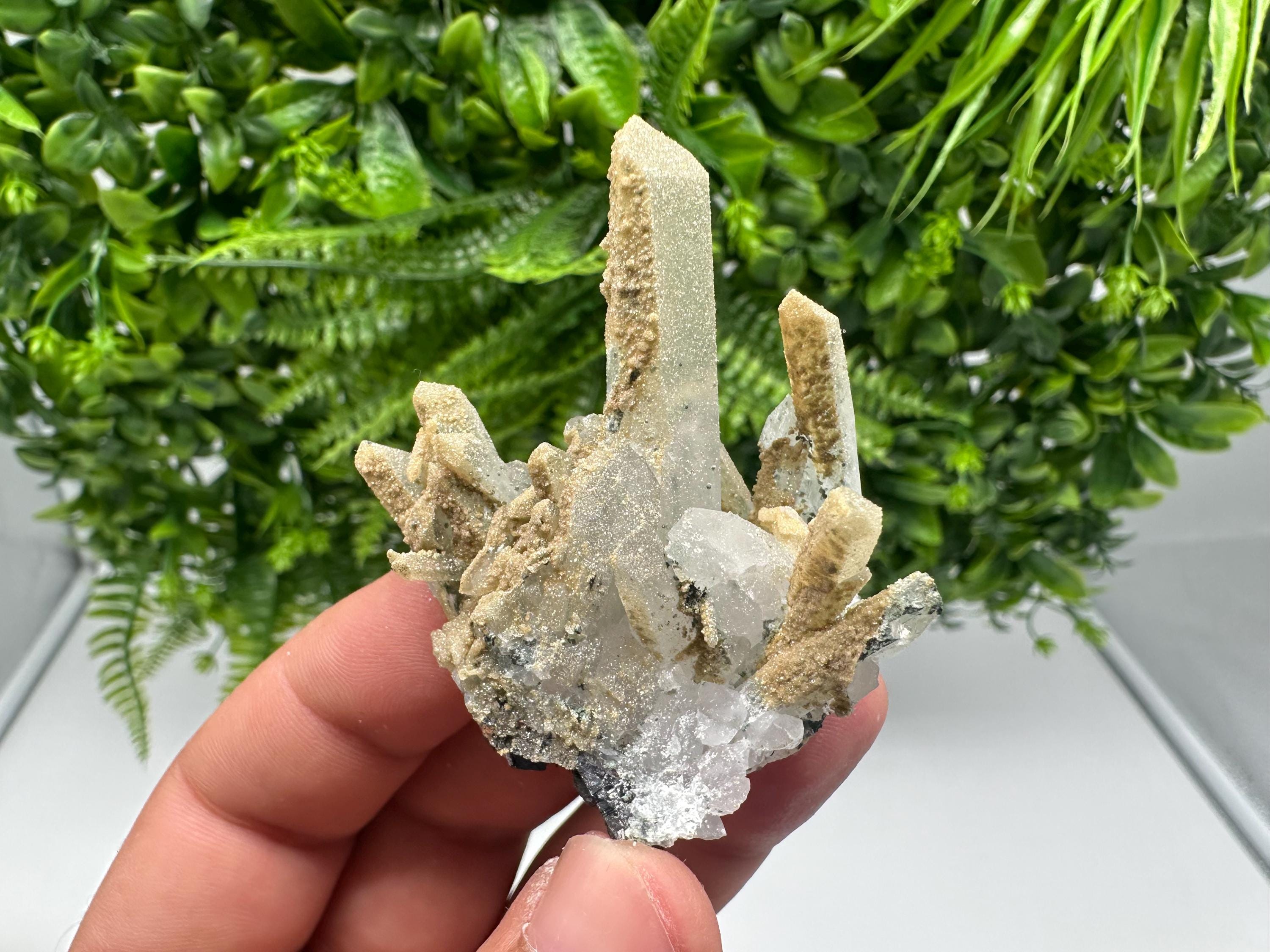 Quartz whit Brown Rhodochrosite from Djurcovo mine,Bulgaria,Quartz,Rhodochrosite cluster,natural mineral,collection crystal,mineral specimen
