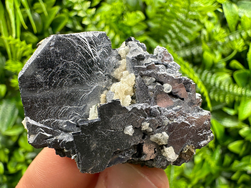 Galena Cluster: Shiny Mineral Stone from Borieva Mine, Bulgaria