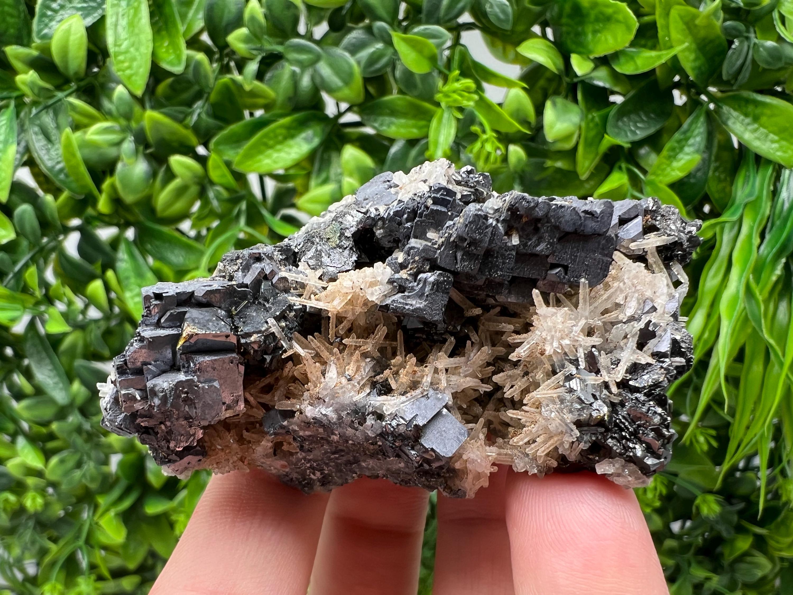 Galena Cluster with Siderite and Quartz, 9th September Mine, Bulgaria