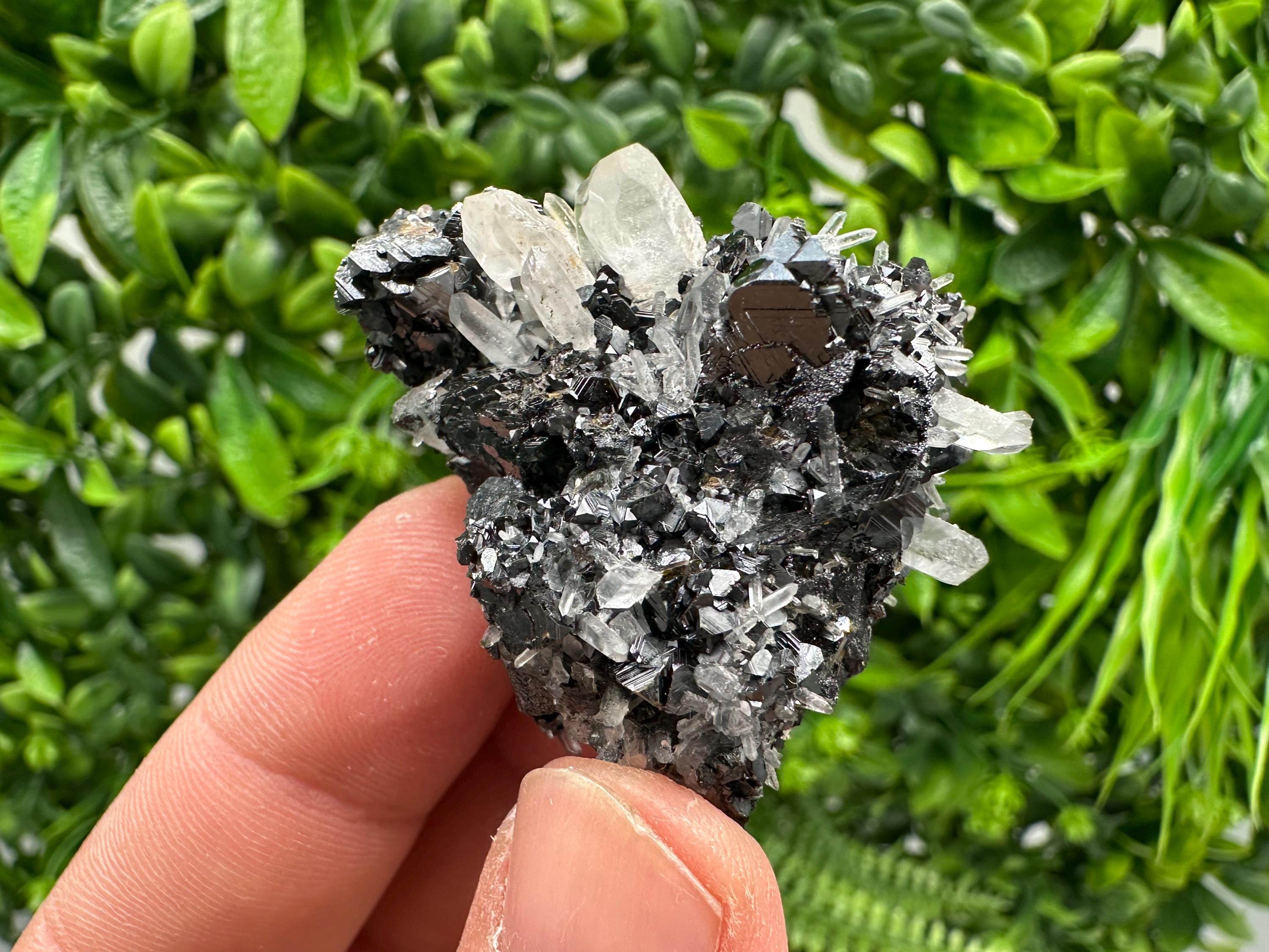 Wonderful Sphalerite Chalcopyrite on  Quartz whit Galena feom 9 th September mine,Bulgaria,natural,collection mineral specimen,gift