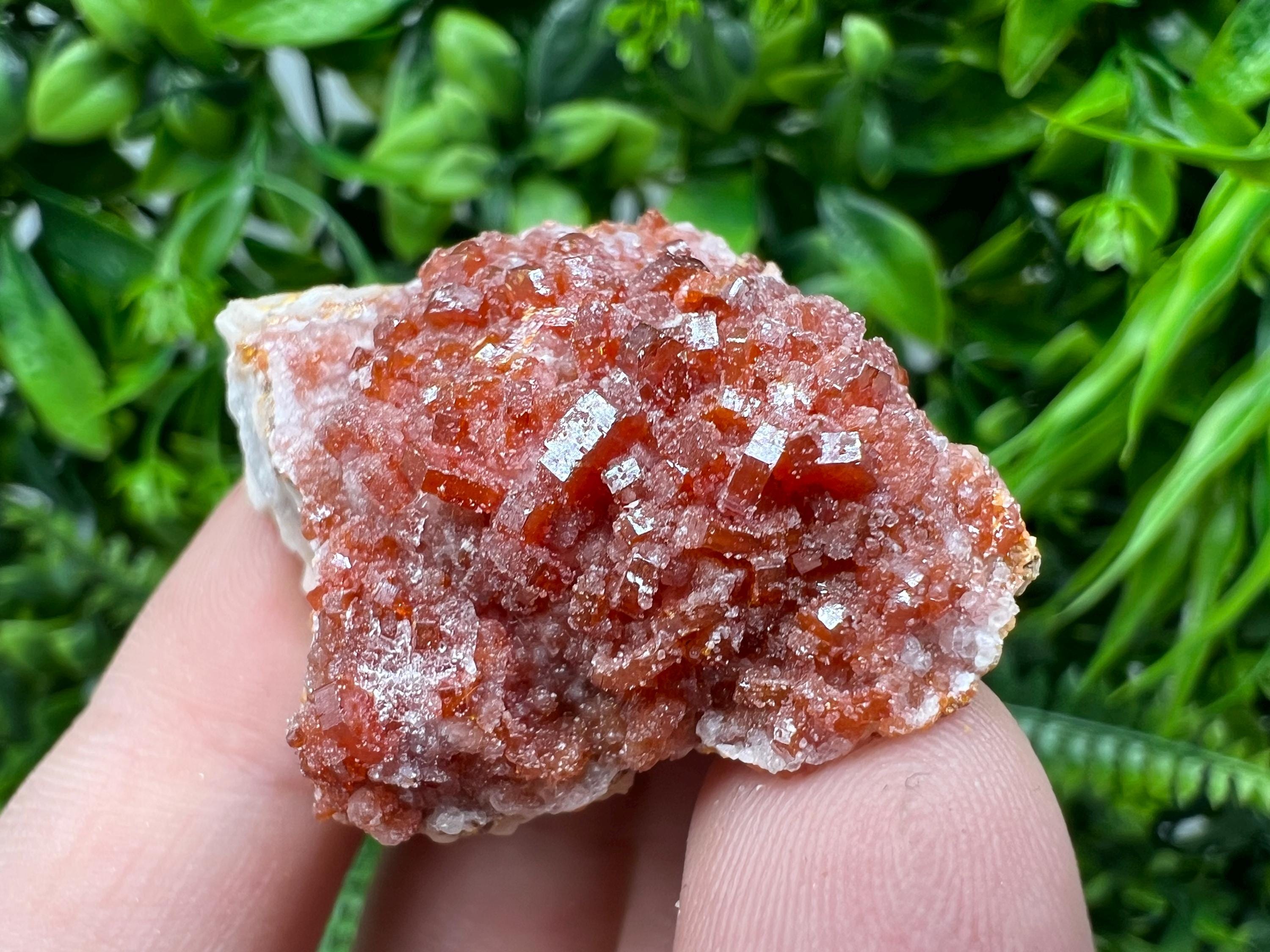 Red Vanadinite on Barite from Marocco,crystal minerals Speciment cluster Vanadinite crystal Vanadinite Geology Vanadinite cluster minerals