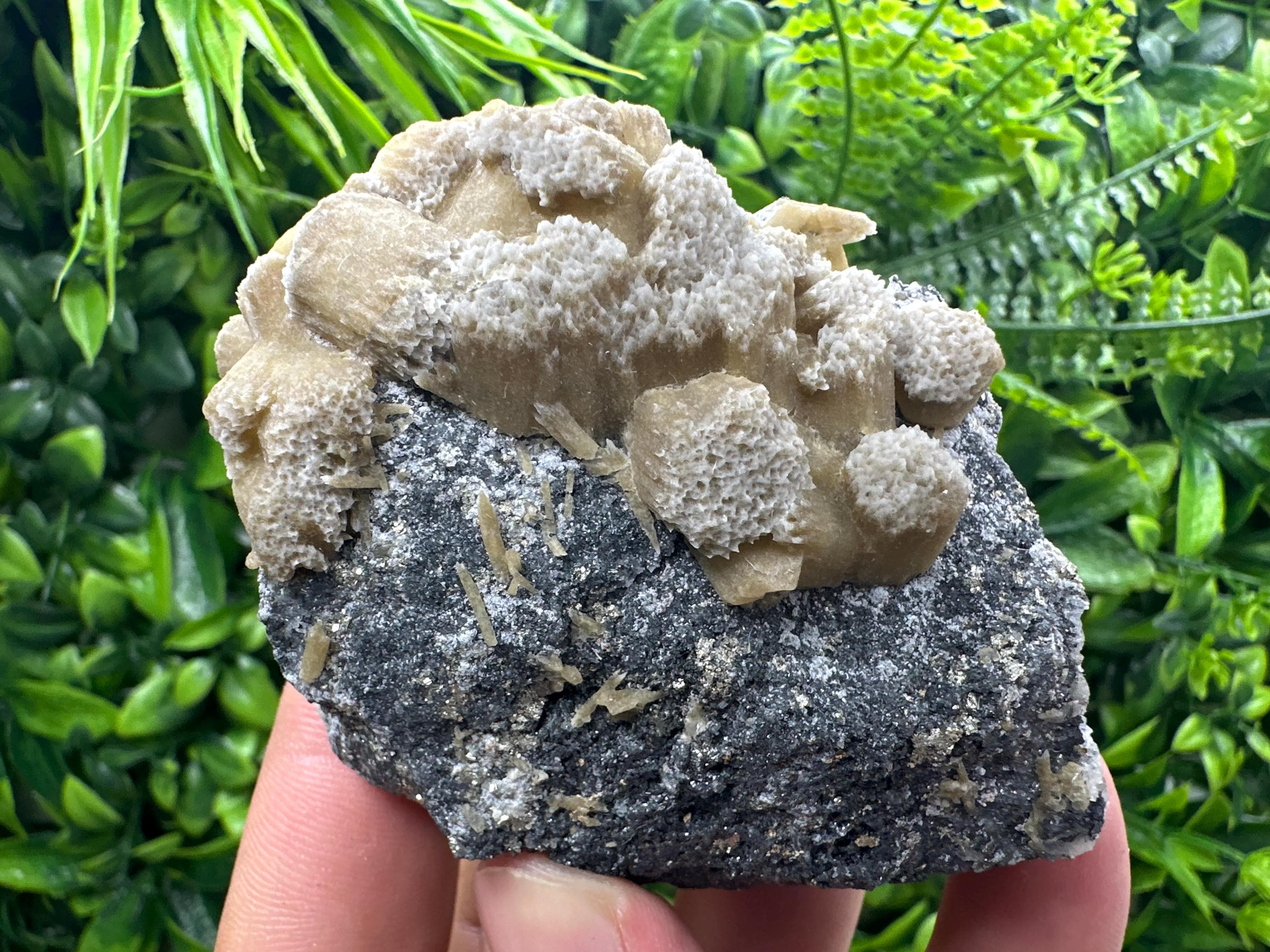 Rare Calcite Cluster on Matrix, Bulgaria Mineral Specimen