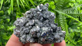 Skeletal Galena Mirror Crystal, Drujba Mine, Bulgaria