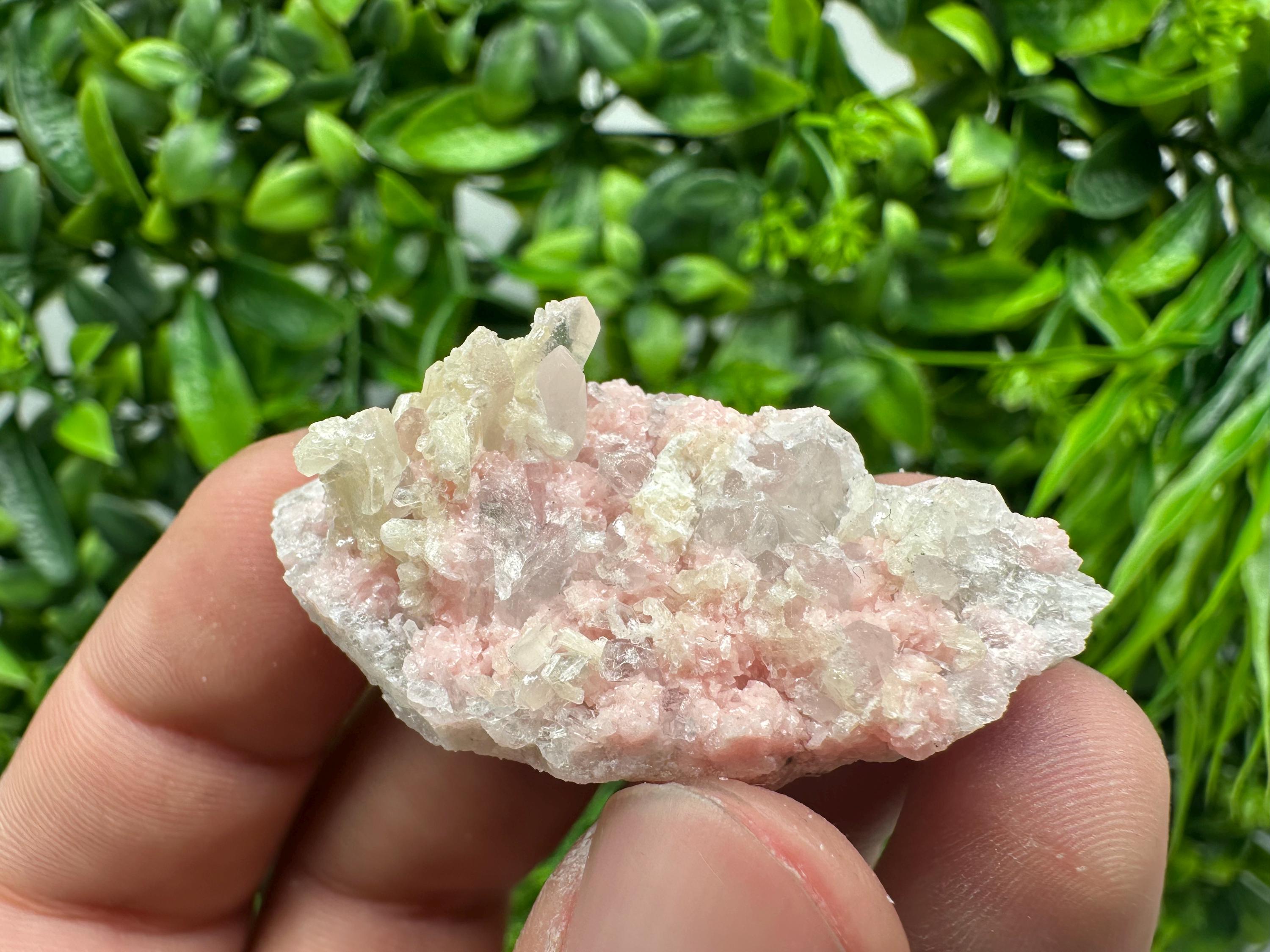 Rhodochrosite on Quartz, Starnica Mine, Bulgaria